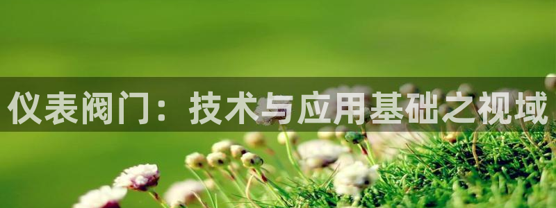 顺盈童欢娱乐有限公司