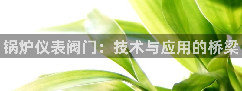 清远顺盈娱乐公司推荐