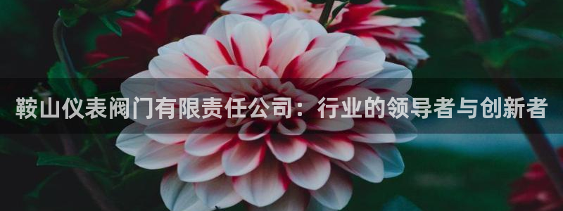顺盈2娱乐主管