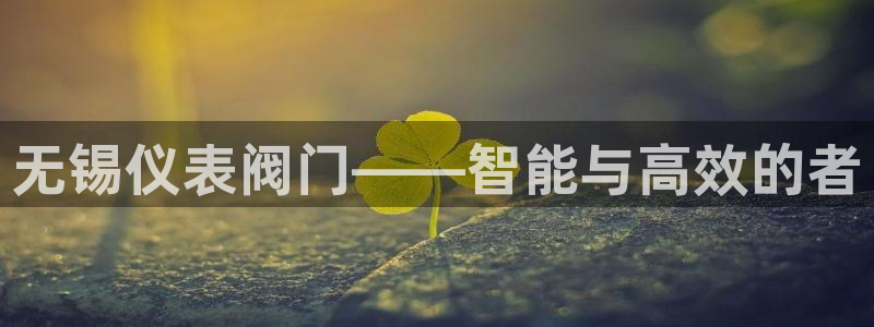 盈顺娱乐休闲室怎么样