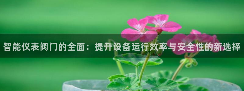 顺盈娱乐28是什么意思