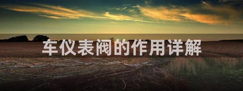 清远顺盈娱乐集团实习