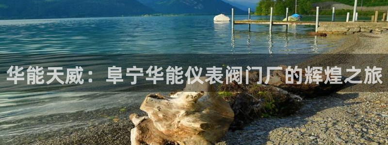 清远顺盈娱乐公司地址