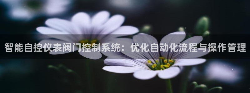 顺盈娱乐团购怎么样