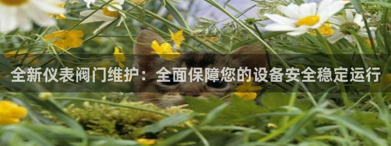 顺盈娱乐是什么意思