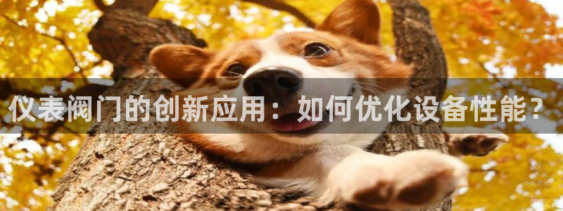 顺盈娱乐场究7276O