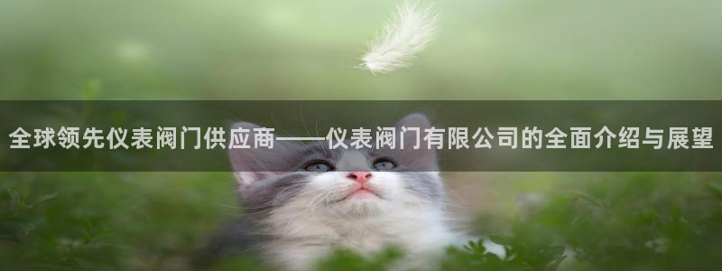 顺盈娱乐口究7276O