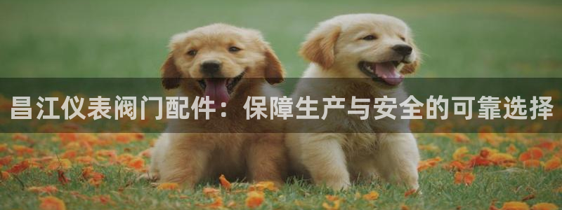 顺盈娱乐各究7276O