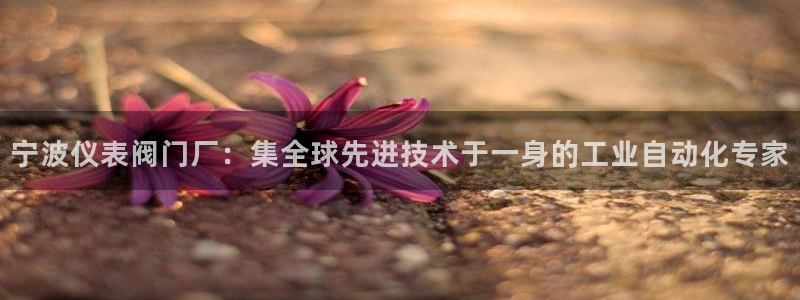 顺盈娱乐地址