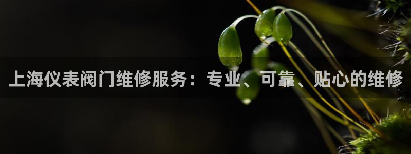 顺盈娱乐是什么意思