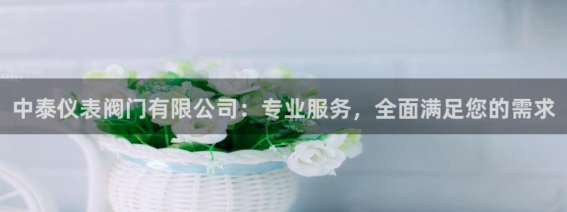 顺盈娱乐招商助判官333OO