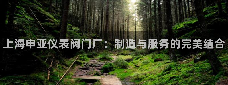 清远顺盈娱乐公司推荐