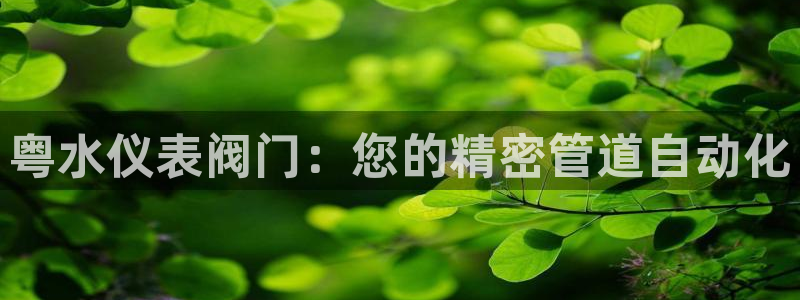 顺盈娱乐西班牙28房