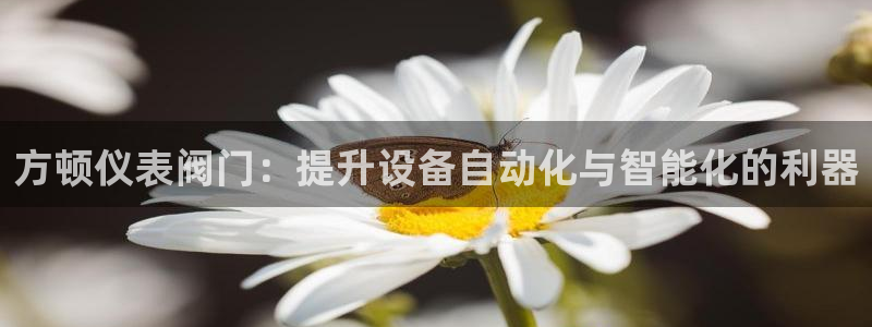 顺盈娱乐彩票官网查询