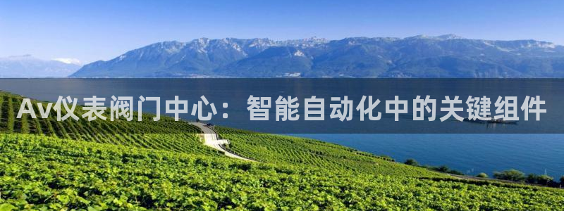 清远顺盈娱乐集团实习