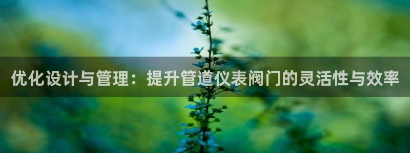 顺盈娱乐最高代理是谁呀