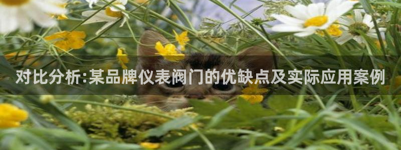 盈顺娱乐休闲室地址