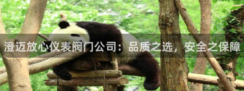 顺盈娱乐主管刘判官333OO