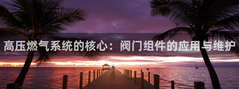 清远顺盈娱乐集团实习