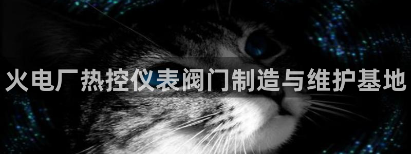 顺盈娱乐下载安装官方版