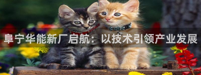 盈顺休闲娱乐室抖音团购
