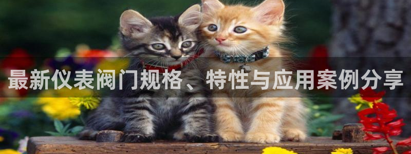 清远顺盈娱乐酒店
