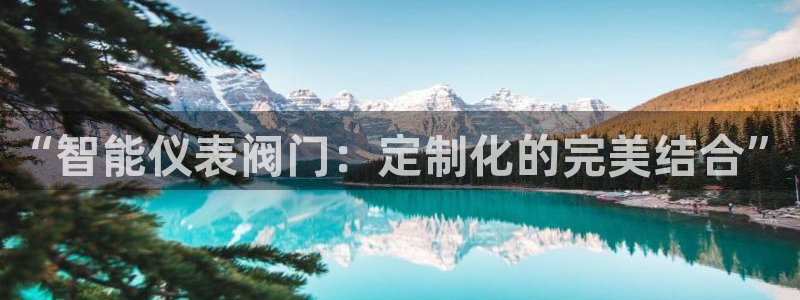 顺盈娱乐主管监判官333OO