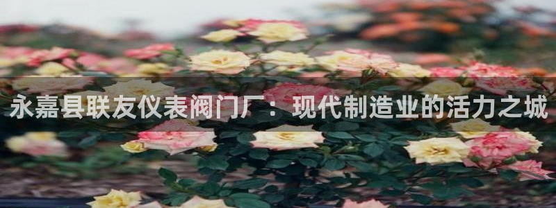 清远顺盈娱乐集团电话