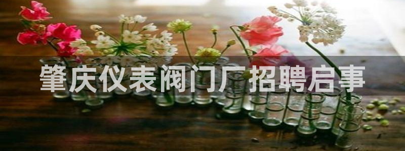 顺盈娱乐过拔7276O