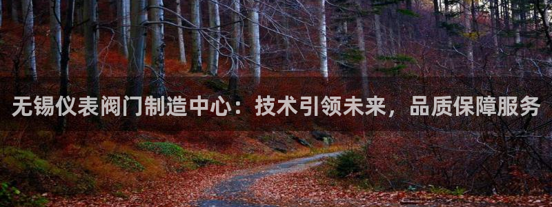 顺盈娱乐福彩