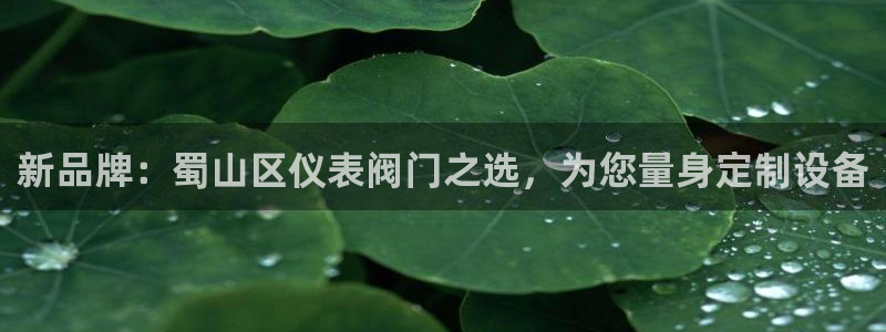 顺盈2娱乐主管啊判官333OO