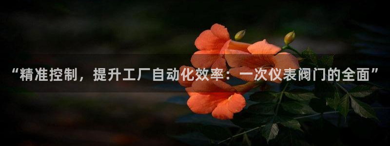 顺盈有什么娱乐场所