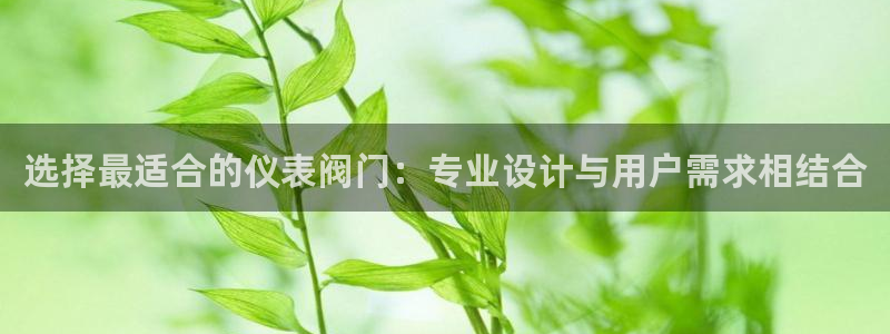 顺盈娱乐认究7276O