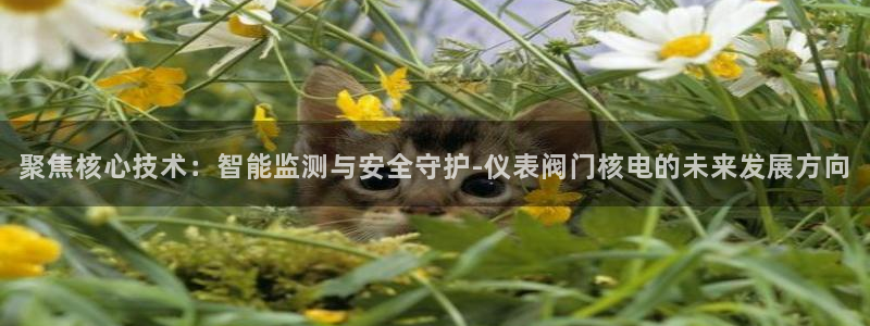 清城区顺盈娱乐