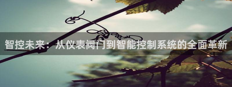 顺盈娱乐彩票官网