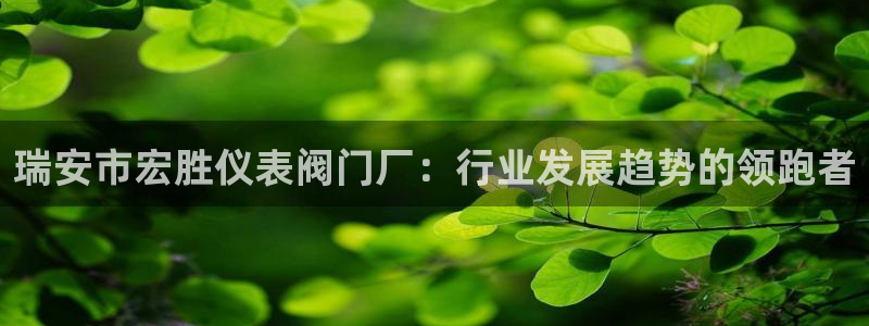 清远顺盈娱乐公司实习