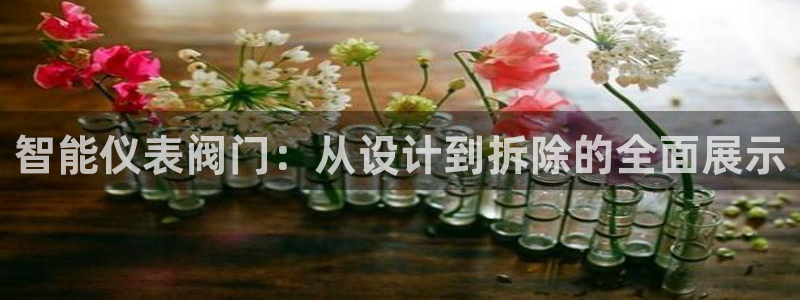 顺盈娱乐招商片判官333OO