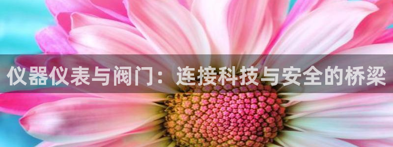 清远顺盈娱乐有限公司