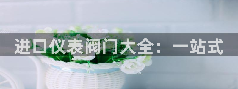 顺盈2娱乐