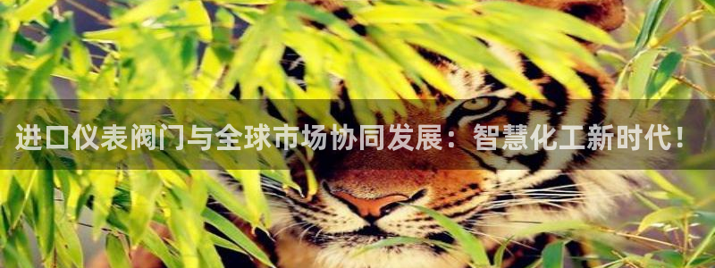 顺盈2娱乐彩票