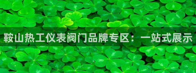 顺盈娱乐公司介绍