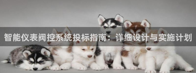 顺盈平台娱乐
