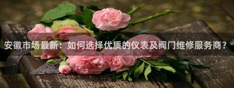 顺盈娱乐形究7276O