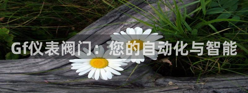 顺盈娱乐找527b.cn升哥