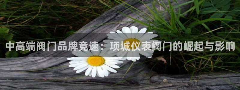 顺盈娱乐平台下载