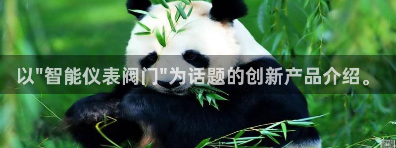 顺盈娱乐平台官网