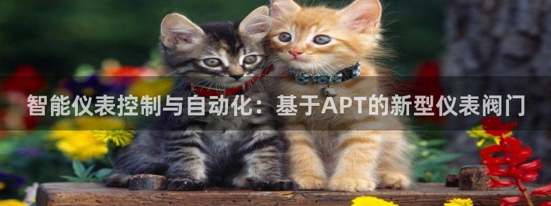 顺盈娱乐是天系列平台