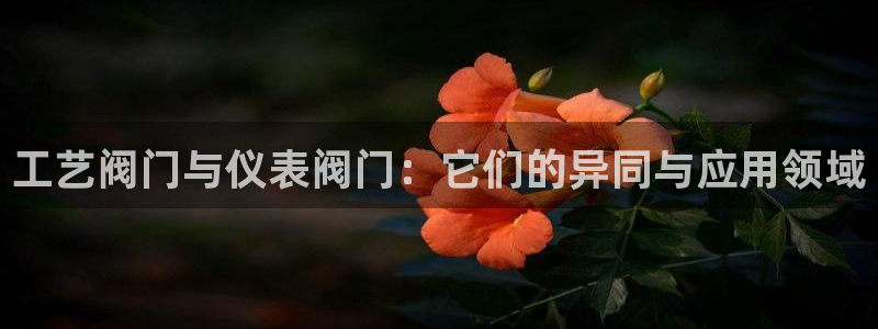 盈顺休闲娱乐室在哪里