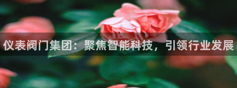 顺盈娱乐认究7276O