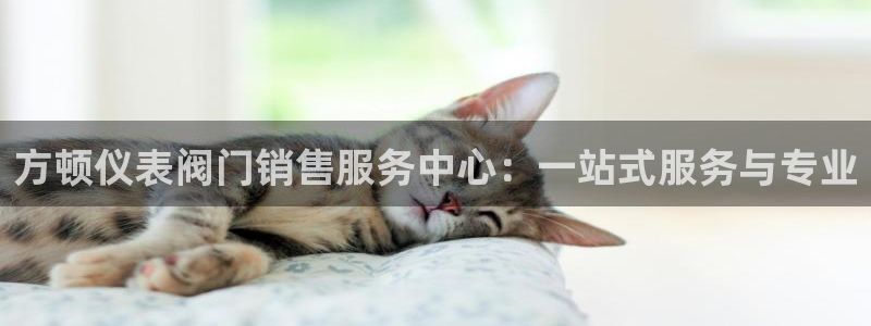 顺盈娱乐棋牌官网地址